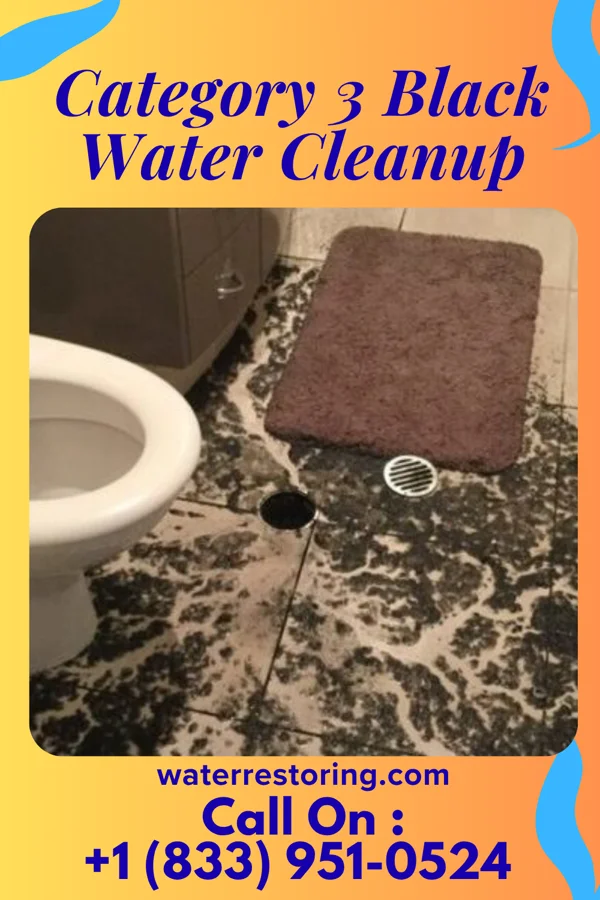 Category 3 Black Water Cleanup in Hartley, IA